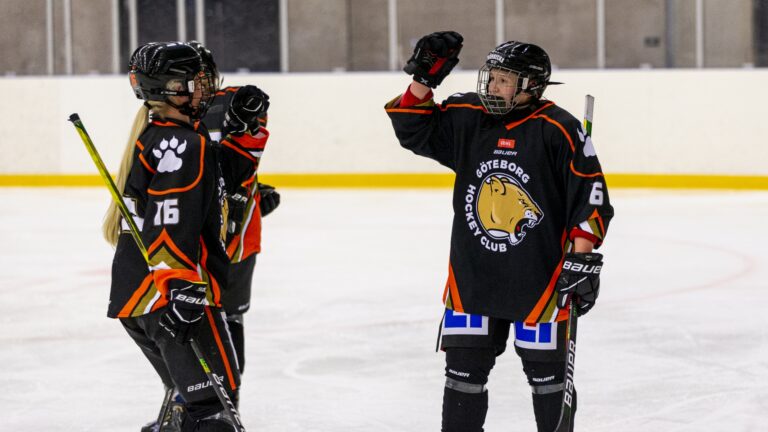 Mecenat extends the sponsoring of Göteborg Hockey Club